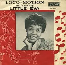 Artie Kaplan Locomotion
