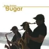 Andy Snitzer A Song For You