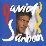 David Sanborn Summer