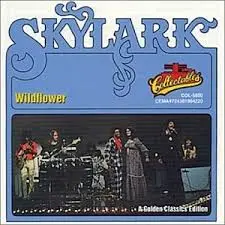 Skylark Wildflower
