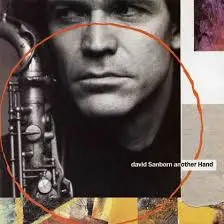 David Sanborn Come To Me, Nina