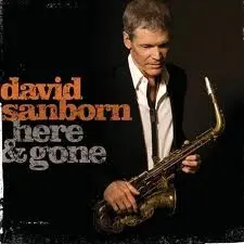 David Sanborn Brother Ray