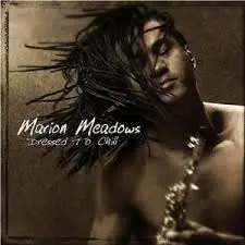Marion Meadows Dressed to Chill