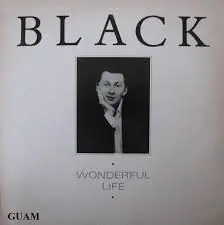 Martin Green Wonderful Life