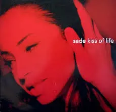 Stuart Matthewman Kiss of Life