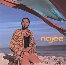Najee Can't Hide Love