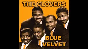 Sam 'The Man' Taylor Blue Velvet