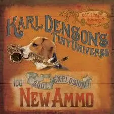 Karl Denson Tiny Universe
