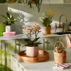 Plant Guides