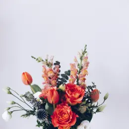 An image for Pretty Plants