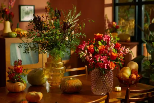 Care wildly this Valentine's promo